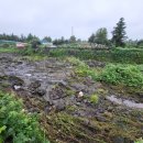 리월드카센타 이미지