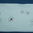 마루종합동물병원 이미지