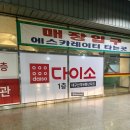 다이아몬드 유통 강아지 사랑 | 대구 다이소 800평?! 다이소 대구산격유통단지점 방문 후기!