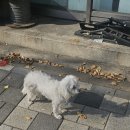 구암철물점