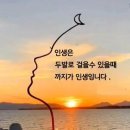 인생은 다 바람같은 거야 이미지