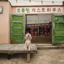 제주도게스트하우스안녕함덕 이미지