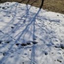 수원팔색길 모수길 이미지