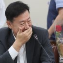 장미꽃사이로 이미지