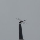 성남사 - 보성군 채동선로 198-1 | 성남사