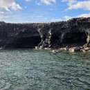 [김수성 칼럼](28) 파도와 억새가 부른 섬, 마라도 탐방 이미지