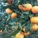 현승농장 이미지