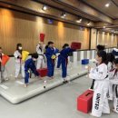 미르태권도 이미지