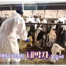 김천목장 이미지