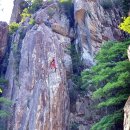 향기2로 이미지