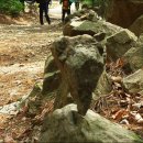 구리둘레길(1코스) 이미지