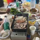 도담고기
