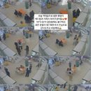 강아지분양 테디럽 이미지