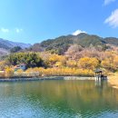 현천마을 | 구례 현천마을 전남 산수유마을 추천 현천제