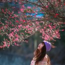 순천매산고등학교 이미지