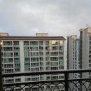 태영114공인중개사사무소 이미지