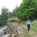 원시운동장 | 2009.5.24 비경의 계곡을 찾아서(11).. 황병산 개자니골-식당골