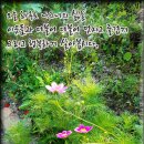 현서농장 이미지