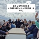 BMZM 유럽드림여행 10일차 밀라노 출발과 컴백 베로나와 시르미오네 1일 버스투어. 영상과 사진들