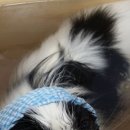 친친동물병원 이미지