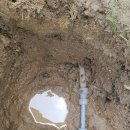 디엠에스 이미지