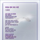 손희라