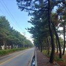 이화파크모텔 | [강원도]강릉 여행기_2일차