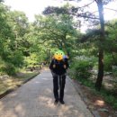 비로야영장 이미지