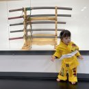 도전해동검도 공도관 이미지