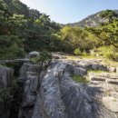 서울도봉초등학교 이미지