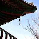 아지랭이 이미지