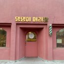 댕댕이 머리방 이미지