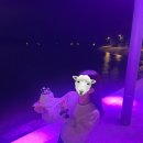 (주)건형 | 2024 4분기 정리
