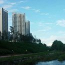 서초힐스아파트 앞 이미지