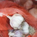 정동영농조합법인 이미지