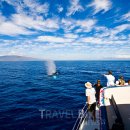 내 안에 시를 담다 이미지