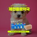 연세푸른약국 이미지