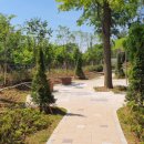 인천계양초 이미지