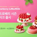 케이크시즌 이미지