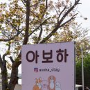 초록 펜션 | 강화도애견동반펜션 '아보하' 1박2일 여행 솔직 후기