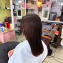 헤어두비취 이미지