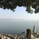 갈릴리농장 이미지