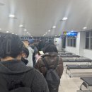 일본 후쿠오카 카훼리 배편 여행! 뉴 카멜리아 이용 후기!!