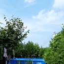 도그 앤 조이 이미지