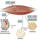 구룡에너지5호발전소 | [창동역PT] 의사들이 '몸속 만능 약국'이라 부르는 근육, 방치하고 계신가요?