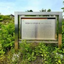 상소업 | 파주 사도세자의 동생이며 정조의 고모인 화완옹주와 정치달 묘