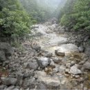 오대산별장 이미지