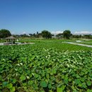 민속공원화장실 이미지