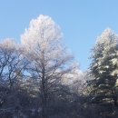 애들아범펜션 이미지