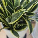 GH지압침대 이미지